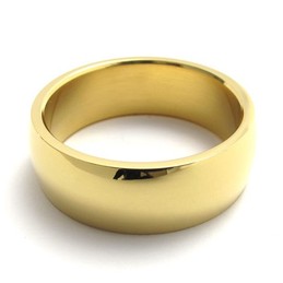 Gold Polished Titanium Ring 20808