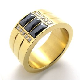 Gold Titanium Ring 20535