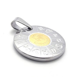 Capricorno Titanium Pendant 20974