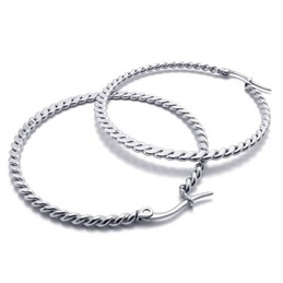 Ring Braid Titanium Earrings 20815