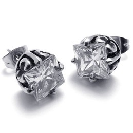 Diamond Titanium Earrings 20258