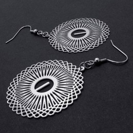 Hollow Titanium Earrings 20241