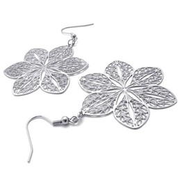 Hollow Titanium Earrings 20231