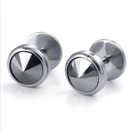 Deft Design Color Brilliancy Excellent Quality Titanium Earrings