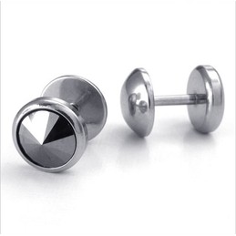 Deft Design Color Brilliancy Excellent Quality Titanium Earrings