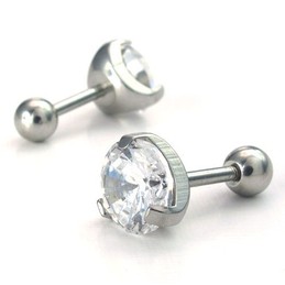 Attractive Design Color Brilliancy Excellent Quality Titanium Earrings