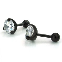 Sophisticated Technology Color Brilliancy Stable Quality Titanium Earrings