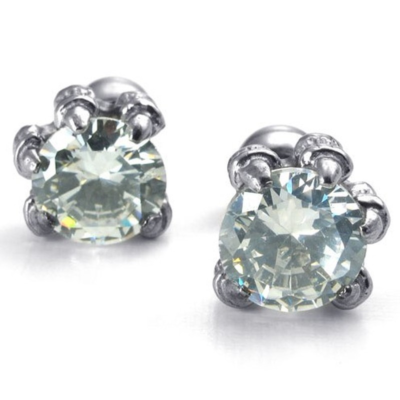 Latest Technology Color Brilliancy High Quality Titanium Earrings