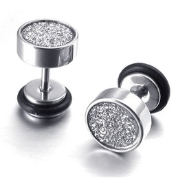 Sophisticated Technology Color Brilliancy Excellent Quality Titanium Sandblast Earrings