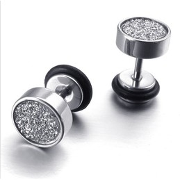 Sophisticated Technology Color Brilliancy Excellent Quality Titanium Sandblast Earrings