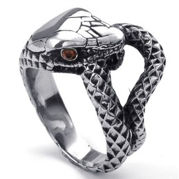Finely Processed Color Brilliancy High Quality Titanium Ring