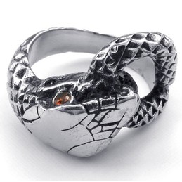 Finely Processed Color Brilliancy High Quality Titanium Ring