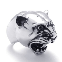 Skillful Manufacture Color Brilliancy Superior Quality Titanium Ring