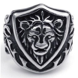 Fashionable Patterns Delicate Colors The Queen of Quality Titanium Ring