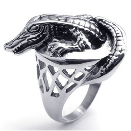 Sophisticated Technology Delicate Colors to Have a Long Story Titanium Ring
