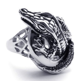 Sophisticated Technology Delicate Colors to Have a Long Story Titanium Ring