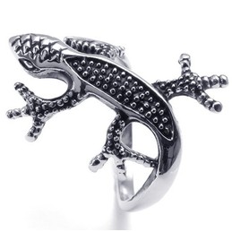 Attractive Design Delicate Colors to Have a Long Story Titanium Ring