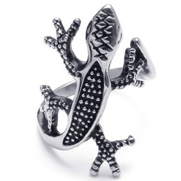 Attractive Design Delicate Colors to Have a Long Story Titanium Ring