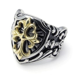 Fashionable Patterns Color Brilliancy Superior Quality Titanium Ring