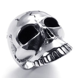 Professional Design Color Brilliancy The Queen of Quality Titanium Ring