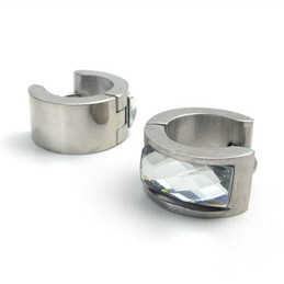 Luxuriant in Design Color Brilliancy Stable Quality Titanium Earrings
