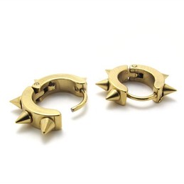 For Your Selection Color Brilliancy Stable Quality Titanium Earrings