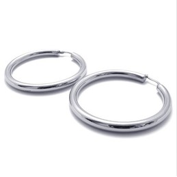 Deft Design Color Brilliancy Stable Quality Titanium Earrings