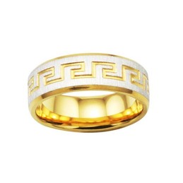 Quality and Quantity Assured Male Titanium Ring 
