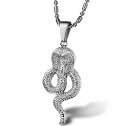 Complete in Specifications Cobral Titanium Necklace 