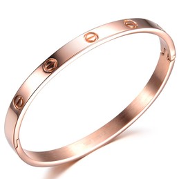 Wide Varieties Female Screw Titanium Bangle 