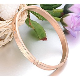 Complete in Specifications Titanium Bangle For Lovers 