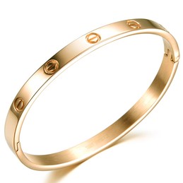 The Queen of Quality Female Titanium Bangle 