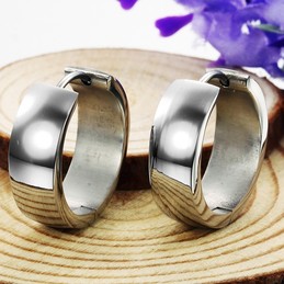 Complete in Specifications Female Titanium Earrings  