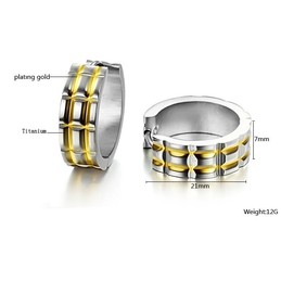 Stable Quality Unisex Titanium Earrings 