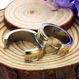 Easy to Use Wall Pattern Titanium Earrings 