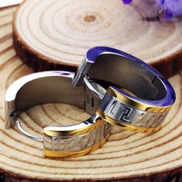 High Quality Wall Pattern Titanium Earrings 