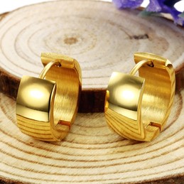 The Queen of Quality Female Titanium Earrings 