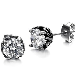 Wide Varieties Unisex Titanium Earrings 
