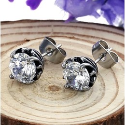 Wide Varieties Unisex Titanium Earrings 