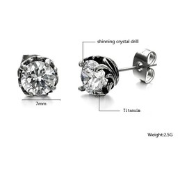 Wide Varieties Unisex Titanium Earrings 