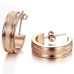 Quality and Quantity Assured Female Scrub Titanium Earrings 