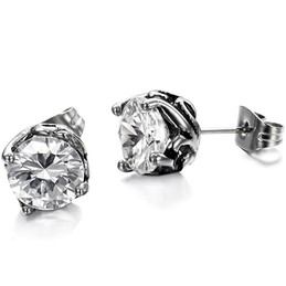 Complete in Specifications Unisex Titanium Earrings 