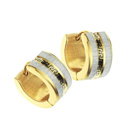 Easy to Use Female Wall Pattern Titanium Earrings 