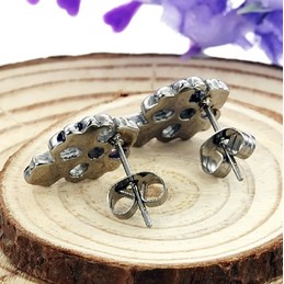 Reliable Quality Titanium Earrings With Rhinestone