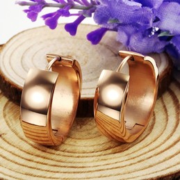 Well-known for Its Fine Quality Female Titanium Earrings 
