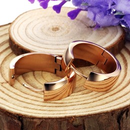 Well-known for Its Fine Quality Female Titanium Earrings 