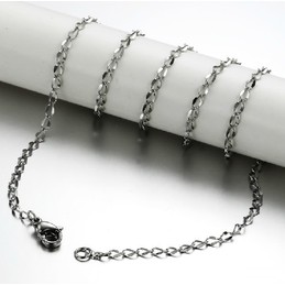 Wide Varieties Titanium Chain 
