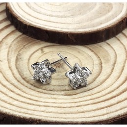 Well-known for Its Fine Quality Female Allergy Free Platinum Plating Titanium Earrings With Diamond