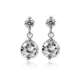 Quality and Quantity Assured Female Allergy Free Platinum Plating Titanium Earrings 