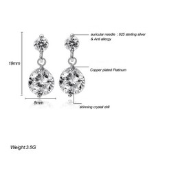 Quality and Quantity Assured Female Allergy Free Platinum Plating Titanium Earrings 